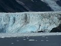 Alaska_Trip_20070816_209_26_Glacier_cruise