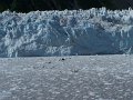 Alaska_Trip_20070816_222_26_Glacier_cruise