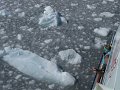 Alaska_Trip_20070816_238_26_Glacier_cruise