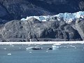 Alaska_Trip_20070816_241_26_Glacier_cruise