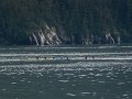 Alaska_Trip_20070816_251_26_Glacier_cruise