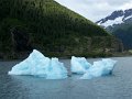 Alaska_Trip_20070816_296_Portage